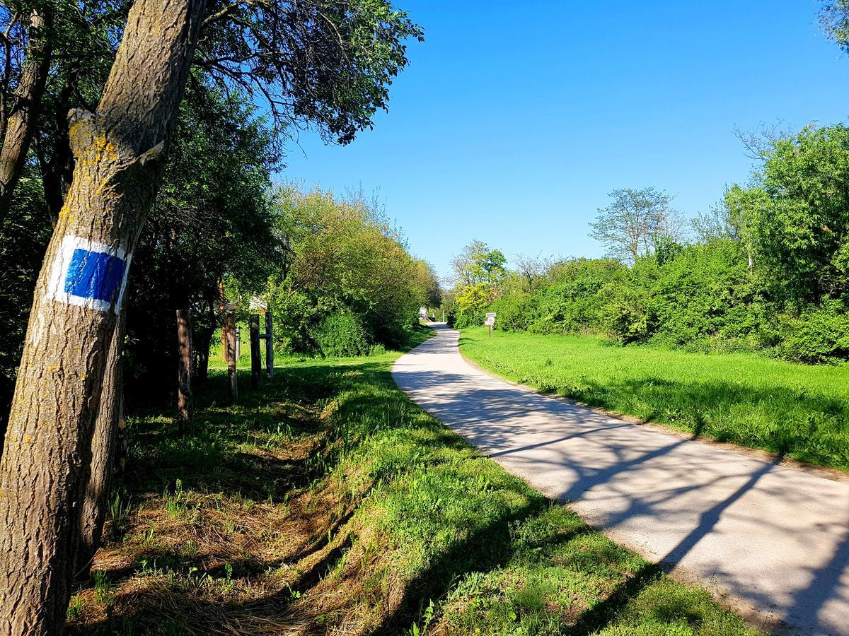 Kúti Vendégház Bakonykuti Exterior foto