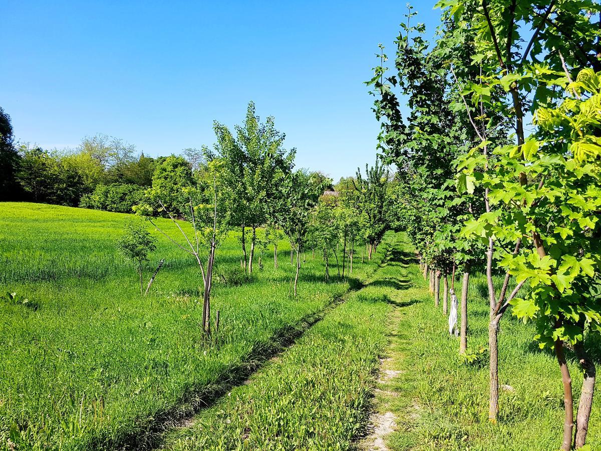 Kúti Vendégház Bakonykuti Exterior foto
